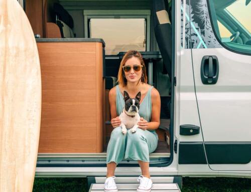 Consejos para viajar con perro en autocaravana o camper